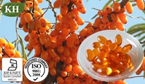 China Supplier for Good Sea Buckthorn Seed Oil Softgel