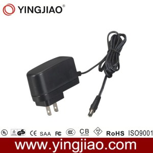 12W Us Plug in Switching Power Adapter with CE